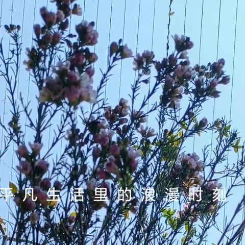 东方韵