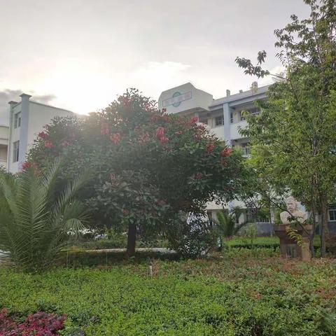 在朝阳中学的最后一个夏天