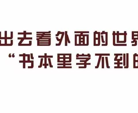 启航托管•寻找大自然的秘密（副本）