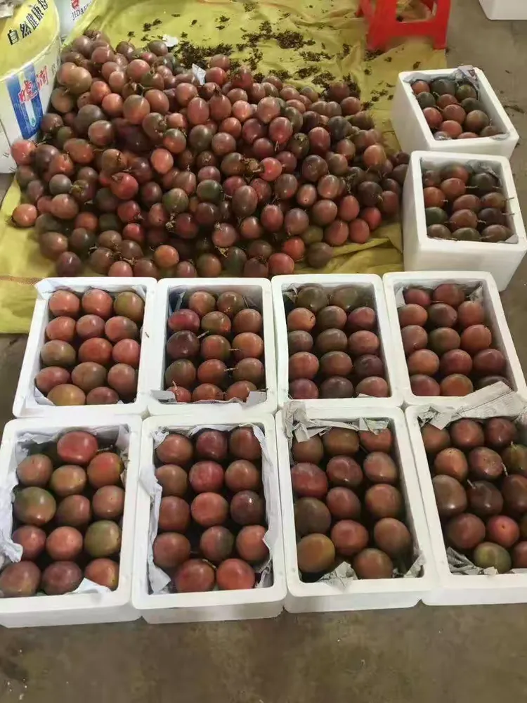 越南代购平台在哪里-越南代购平台在哪里注册