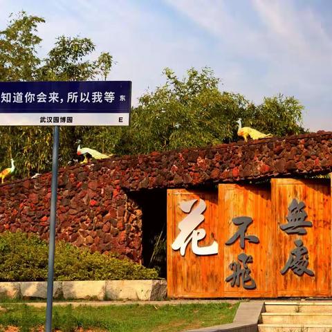 最爱【人间四月天】，风柔花香春正暖
