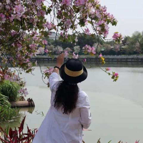 【人间四月天】2023春*花城广州之旅
