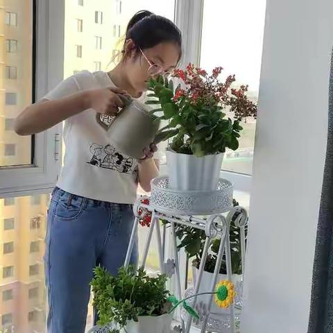 达拉特旗第十二中学75班袁雪倪劳动最光荣