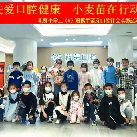 关爱口腔健康 小麦苗在行动——礼贤小学二（6）班社会实践活动