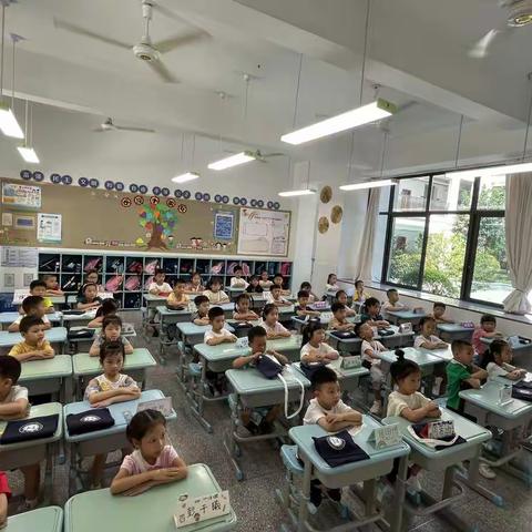 麦苗日记1：我是小学生啦