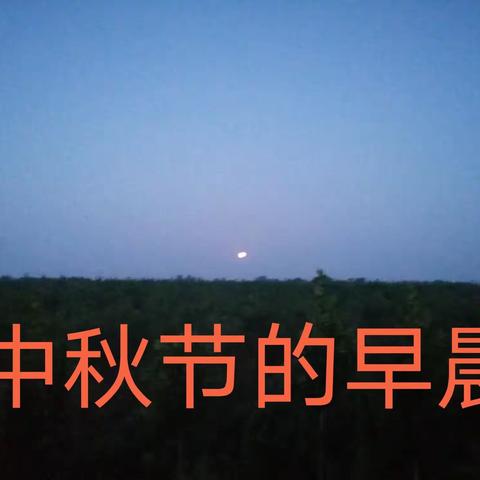 观景台家人聚中秋太极起武庆团圆～～～2021.9.21日（中秋节）