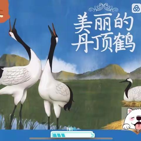 📗合肥市嘉陵江路幼儿园4.23读书日活动——中班组“趣”画绘本