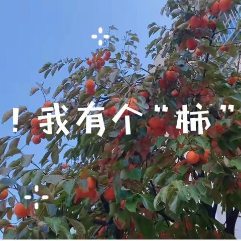 嗨！我有个柿说——合肥市嘉陵江路幼儿园自然课程活动