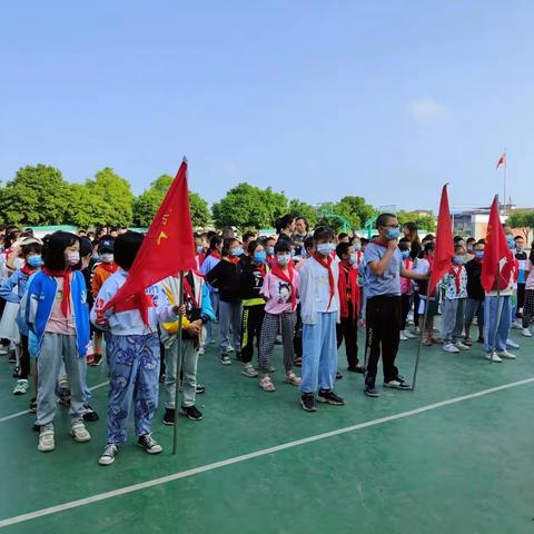 桑葚熟啦——-新市学校桑葚基地劳动实践研学活动