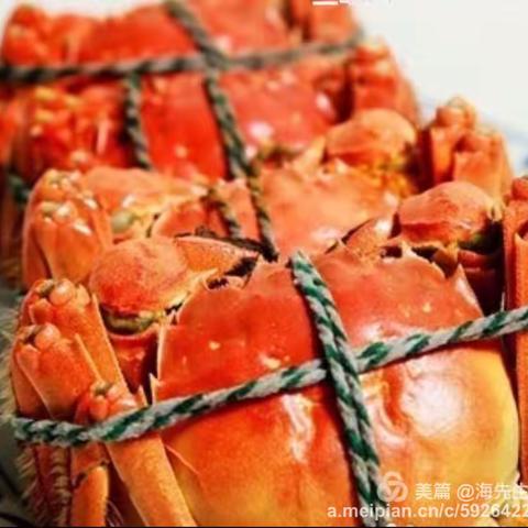 冬天海鲜怎么吃？不急！“海先生”告诉你。