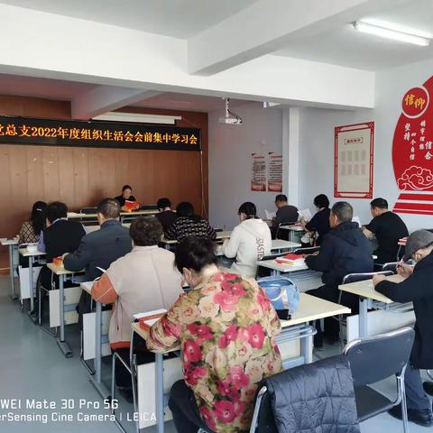 巴彦社区党总支召开2022年度组织生活会会前集中学习会