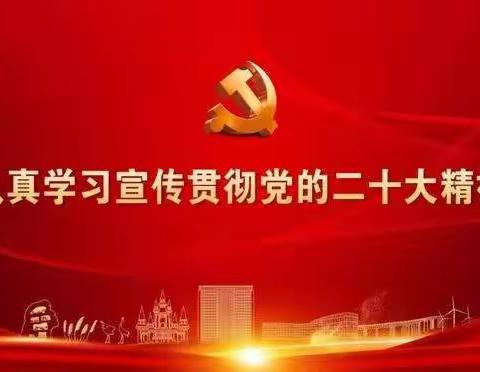 巴彦社区党总支集中学习党的二十大会议精神