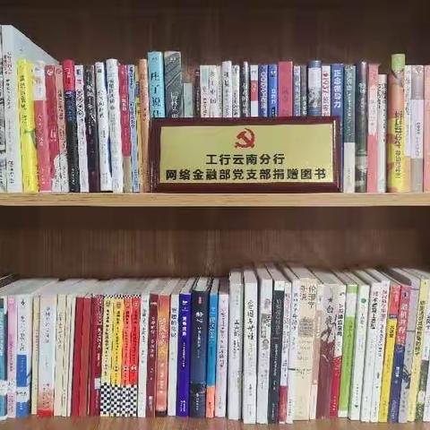 网络金融部党支部向威信县偏岩村赠送书籍