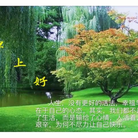 秋天的暇想
