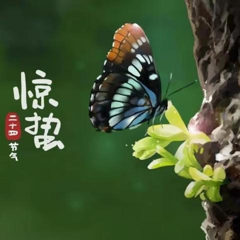 中国节～惊蛰～《华语字典》