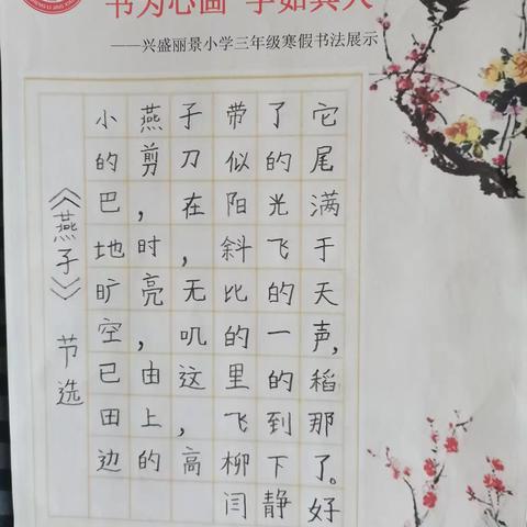 书为心画，字如其人——兴盛丽景小学三（4）班寒假书写展示