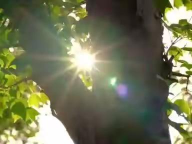 乐把金针度与人，不负韶华争朝夕~~枣庄市薛城区舜耕中学七年级教学纪实（四）