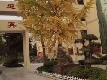 “研”途聚合力，云端共成长～～七年级扎扎实实进行线上教研活动