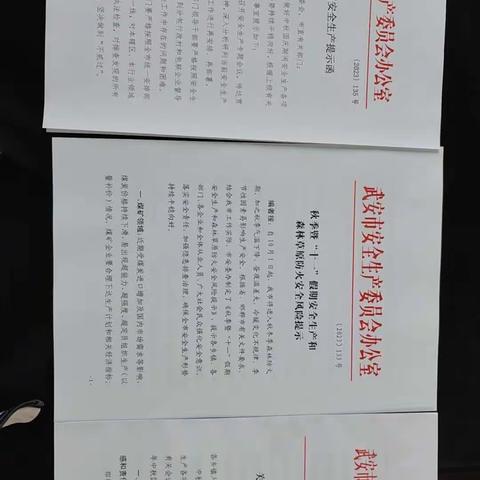 武安市应急管理局对全市建材企业开展假期专项督导检查