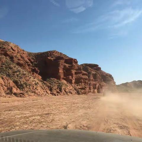 传说中的神雕原来在这里