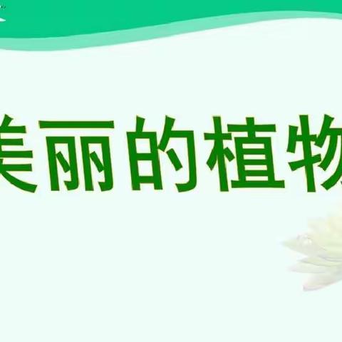 低年级学段美术课《美丽的植物》