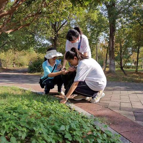 以热诚之心，创文明萍城—记萍乡中学2021级高二（22）班团支部学雷锋志愿服务活动