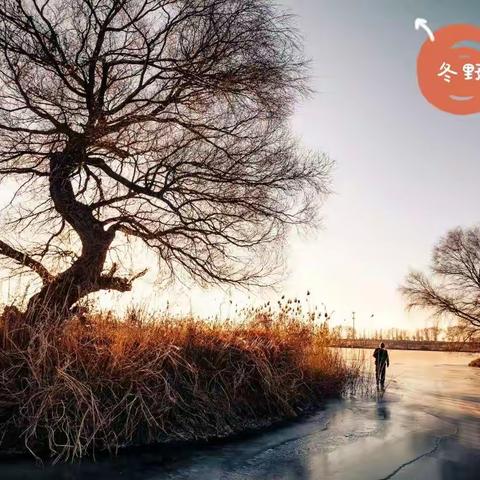 224、深冬天冻寒风冷，人老悲愁韵诗多（深冬5首）