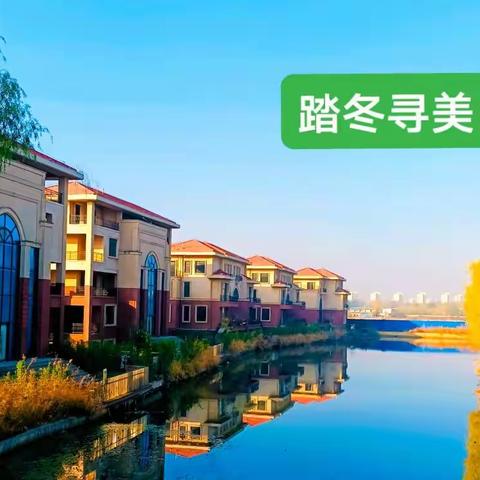 220、踏冬寻美闲心醉，真想借天五百年（近体诗4首）