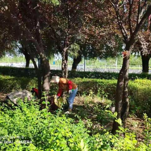 【富美寺坡】寺坡街道湖滨社区助力舞钢市卫生城市创建开展卫生清洁行动