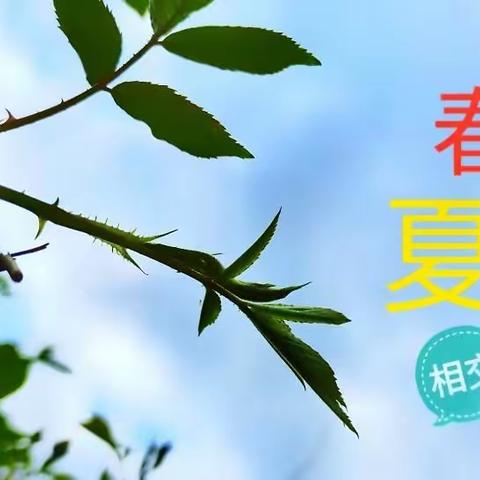 迎接五月芬芳