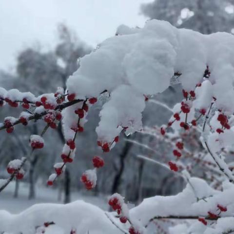 冬至到了，春天就快来了😊