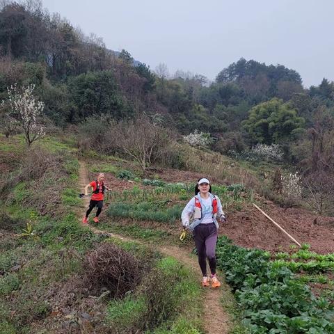 铁山赛 | 峡峰50K测线跑