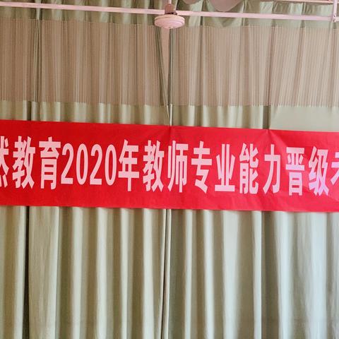 2020年教师专业能力晋级考核