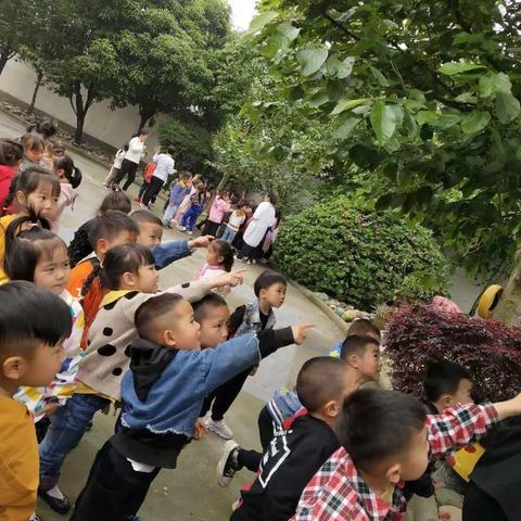 第九周