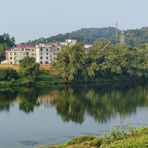 手机随拍——永新禾河美风景
