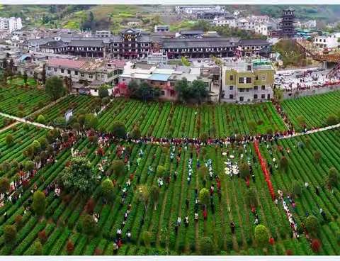 2019年平利《茶乡情韵》