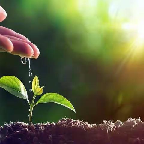 播撒新绿“溢”满春天--金城幼儿园小小三班植树节活动