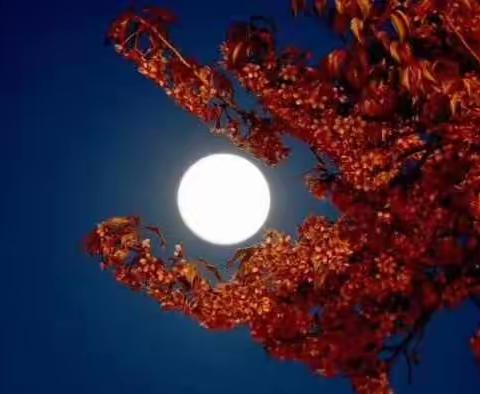 村邻——记忆诗笺(组诗)