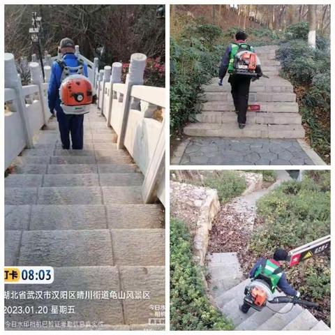 2023年元月20日龟山公园（佑恒）绿化养护工作简报