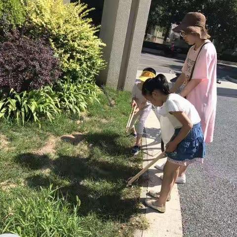 太平路22号社区城市清洁日活动