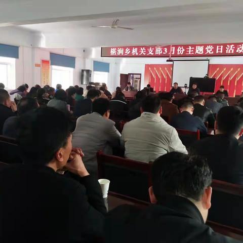 椹涧乡各党支部积极开展3月份主题党日活动