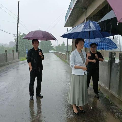 齐心协力战汛情，风雨之中显力量