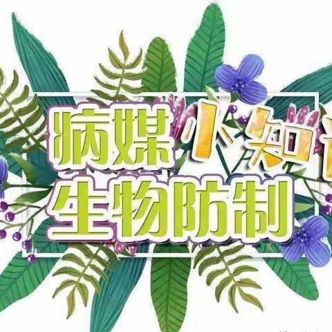 病媒生物防治知识宣传