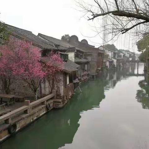 华东五市五日游花絮。