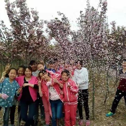 丹心化作春雨洒，赢得桃李满园香——郭家店镇仲院小学郑辉艳老师