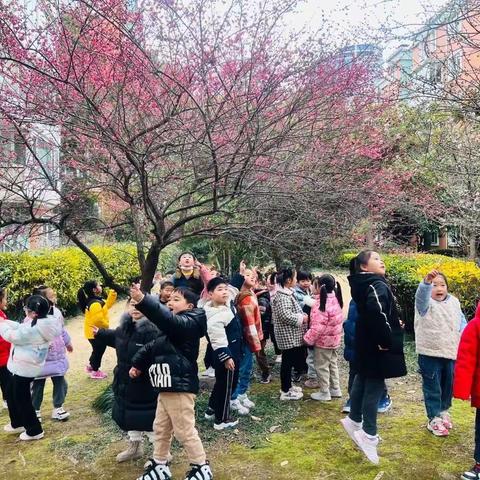 《花儿朵朵🌺开》——之花花密语