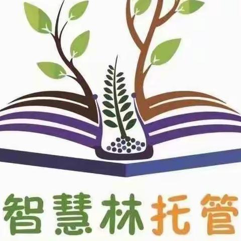 智慧林暑幼小衔接班报名开始了