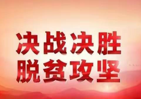 市委书记田丽霞深入大田镇暗访脱贫攻坚工作