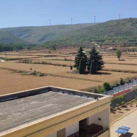 It is the harvest time!