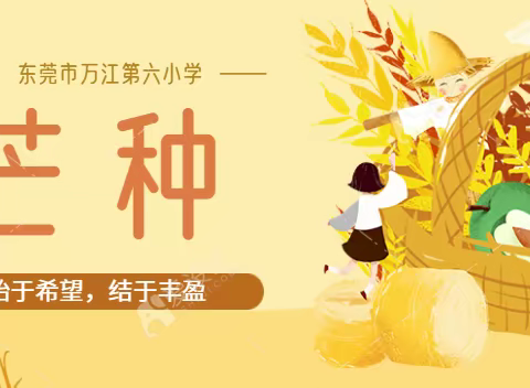 芒种|始于希望，结于丰盈——东莞市万江第六小学